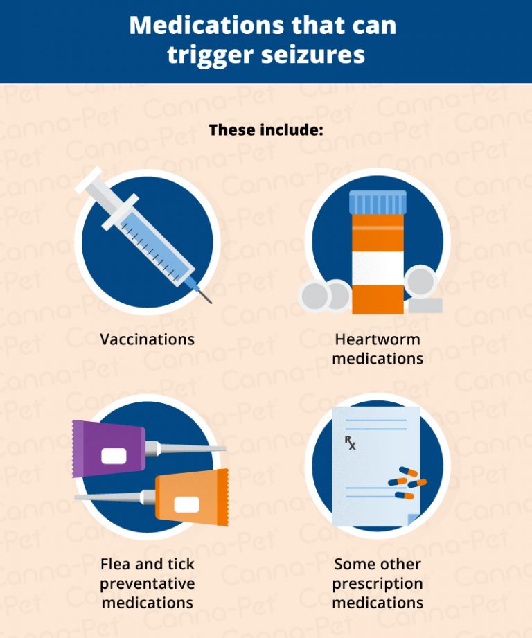 Dog Seizures Triggers, Causes & Treatments CannaPet®