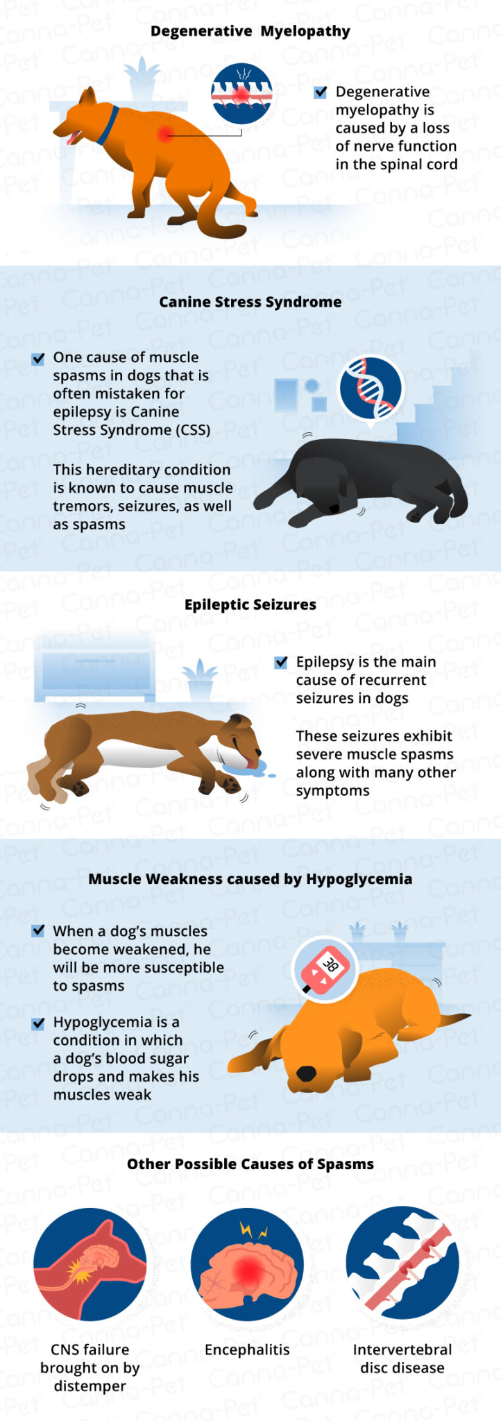 Muscle Spasms In Dogs Canna Pet 