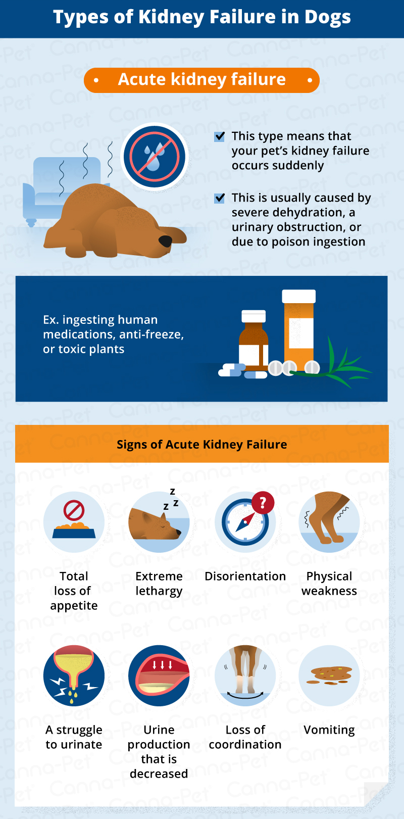 types of kidney failure in dogs