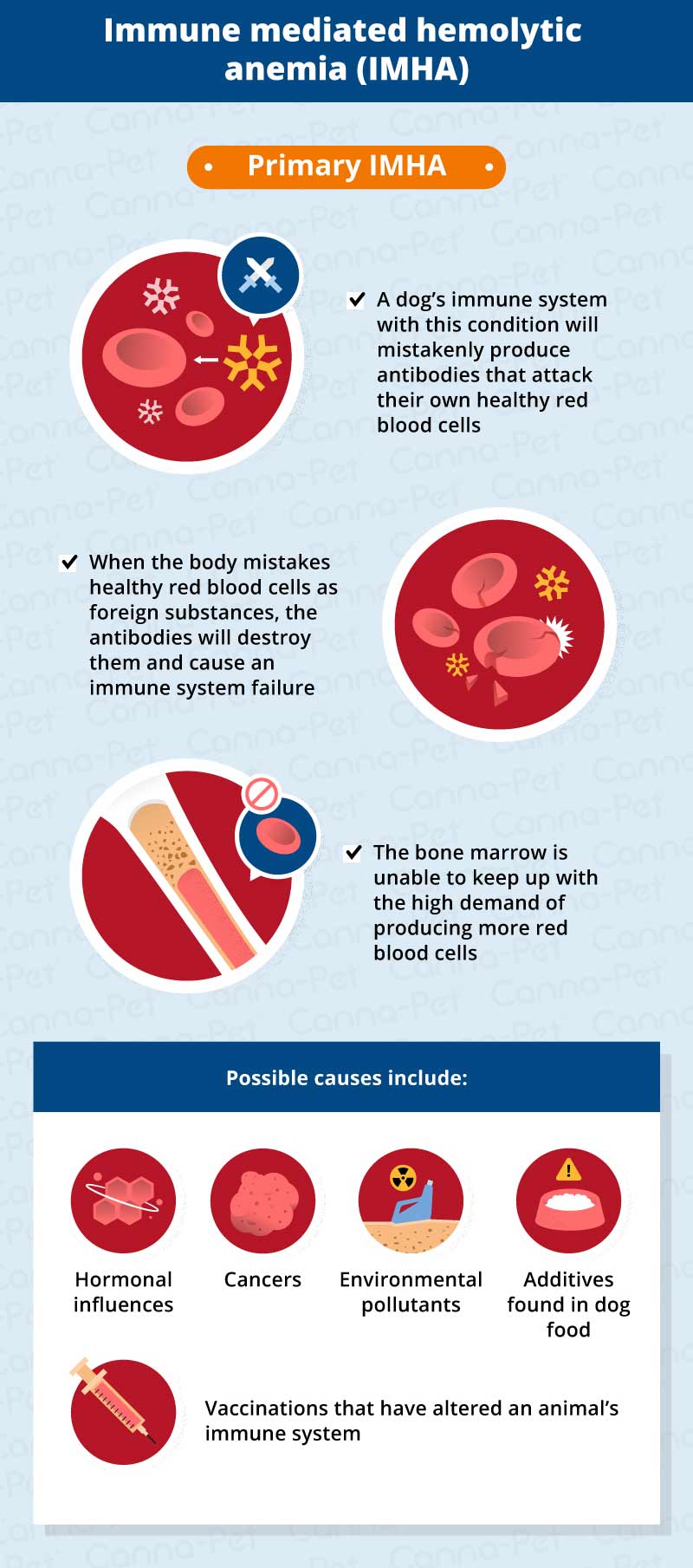 immune-mediated-disease-in-dogs-canna-pet