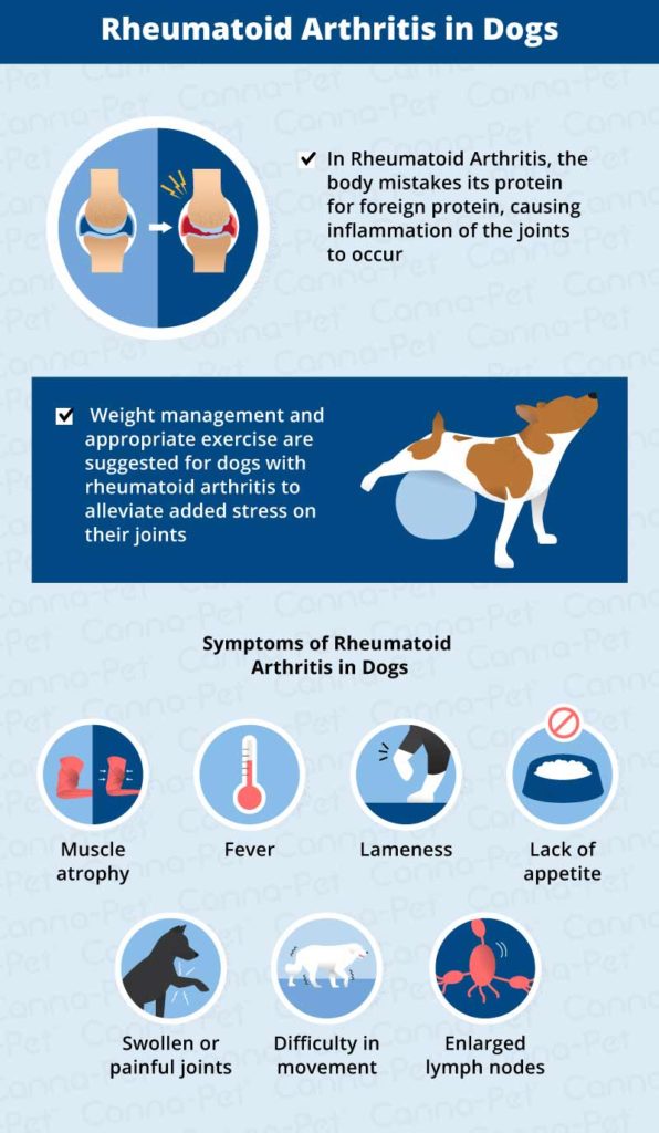 Immune Mediated Disease in Dogs | Canna-Pet®