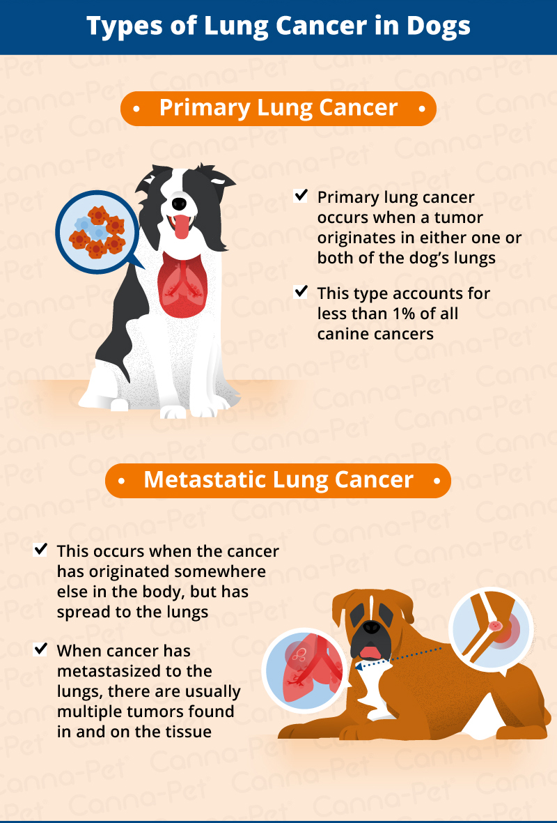 types of lung cancer in dogs
