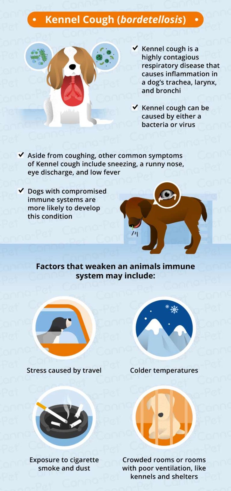 Common Causes of Puppy Coughing | Canna-Pet®