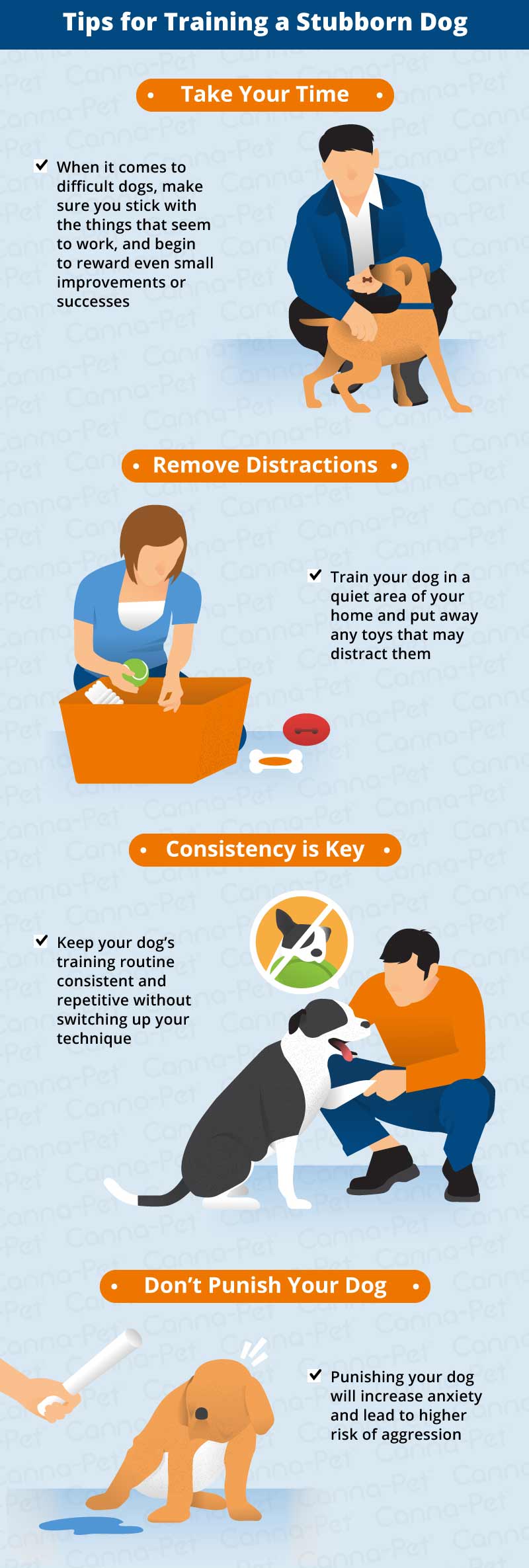 tips for training a stubborn dog 