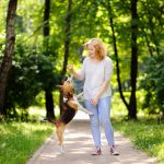 how-to-train-a-dog-not-to-jump-on-people_canna-pet