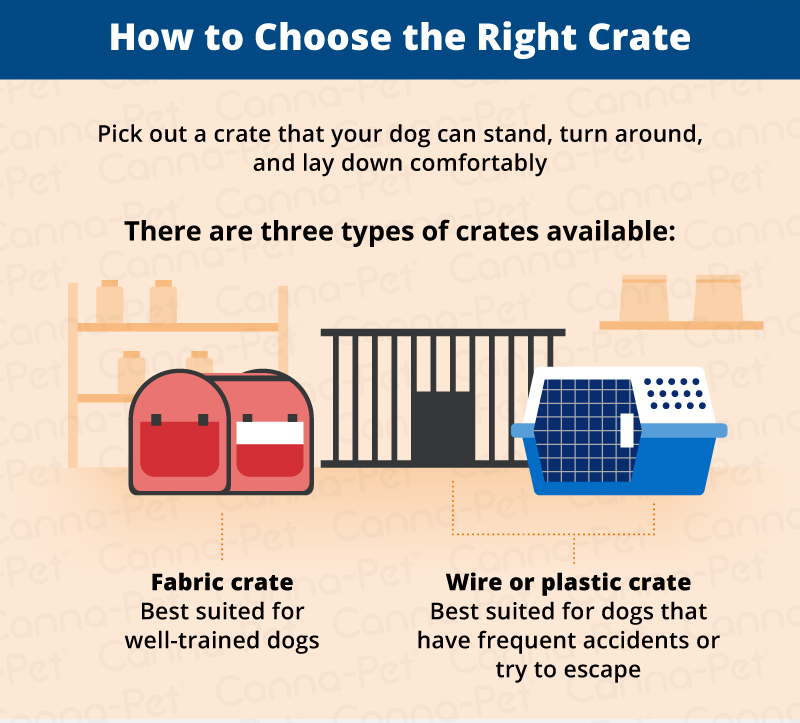 how to choose a dog crate