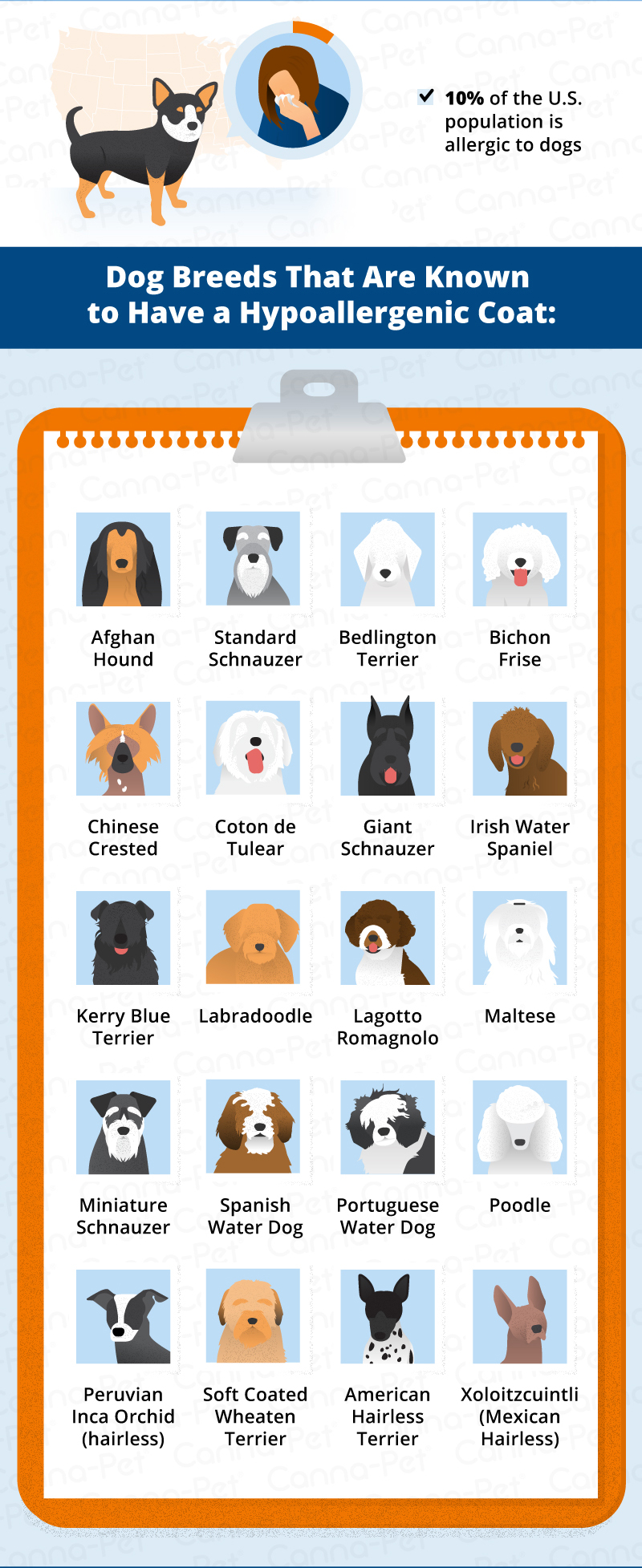 dogs breeds that are known to have a hypoallergenic coat