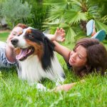 are australian shepherds good family dogs_canna-pet