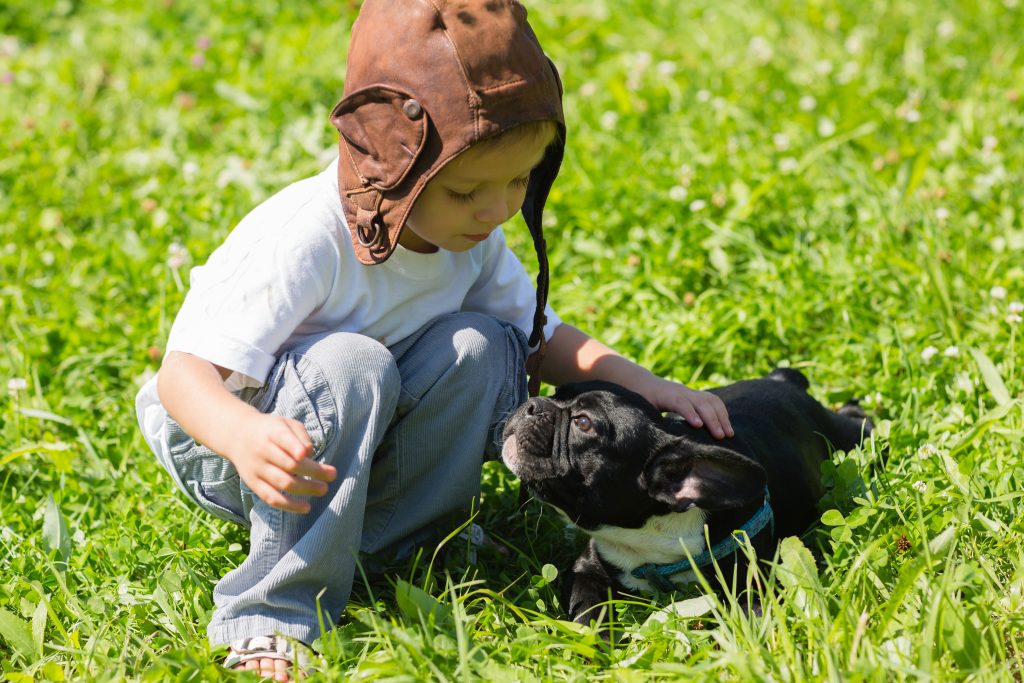 are french bulldogs good with kids_canna-pet