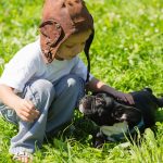 are french bulldogs good with kids_canna-pet