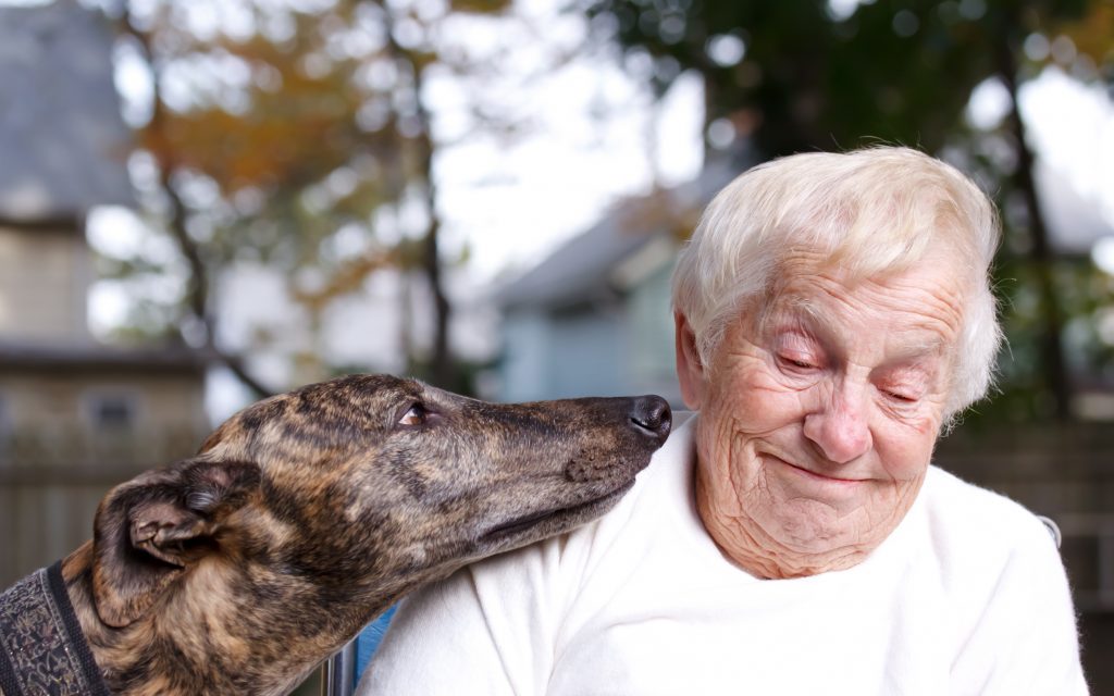 best-dog-breeds-for-the-elderly_canna-pet