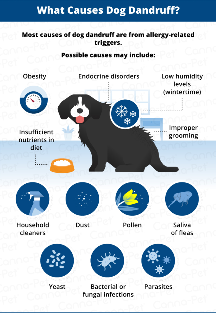 what causes dry flaky skin on dogs