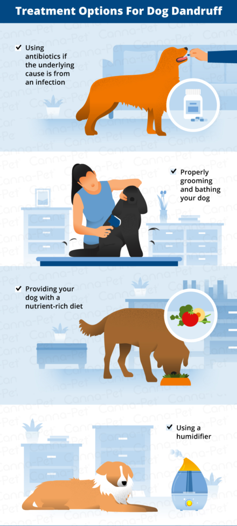 how can i treat my dogs dandruff at home