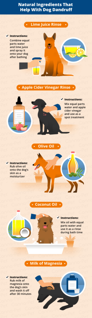 how to take care of dog dandruff