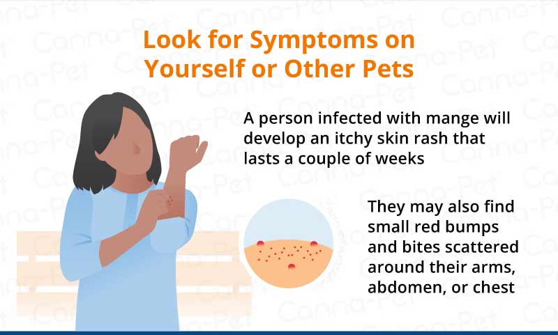 look for symptoms on yourself or other pets