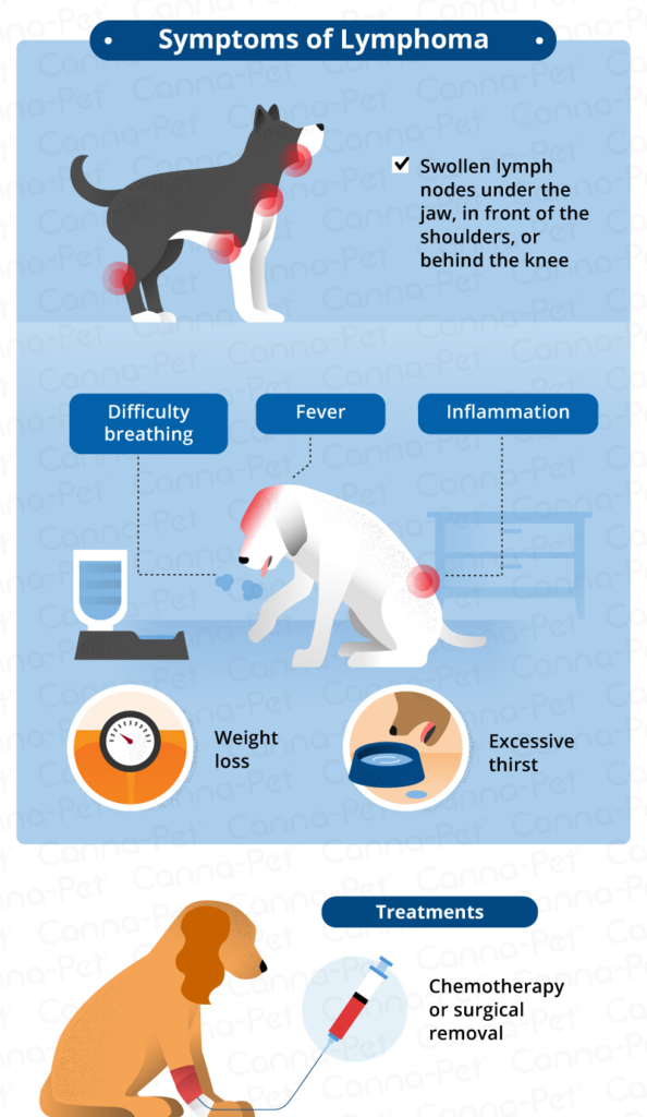 what causes a dogs lymph nodes to swell