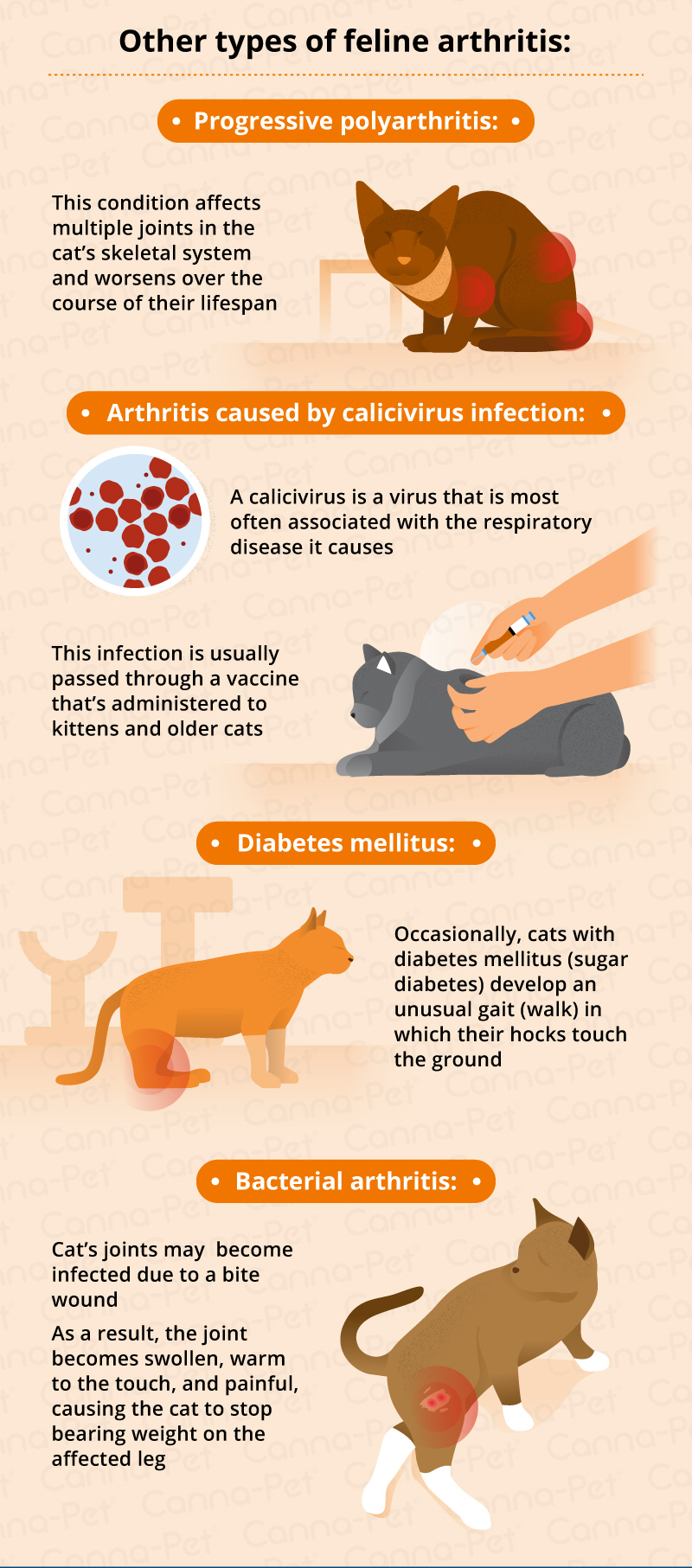 types of cat arthritis
