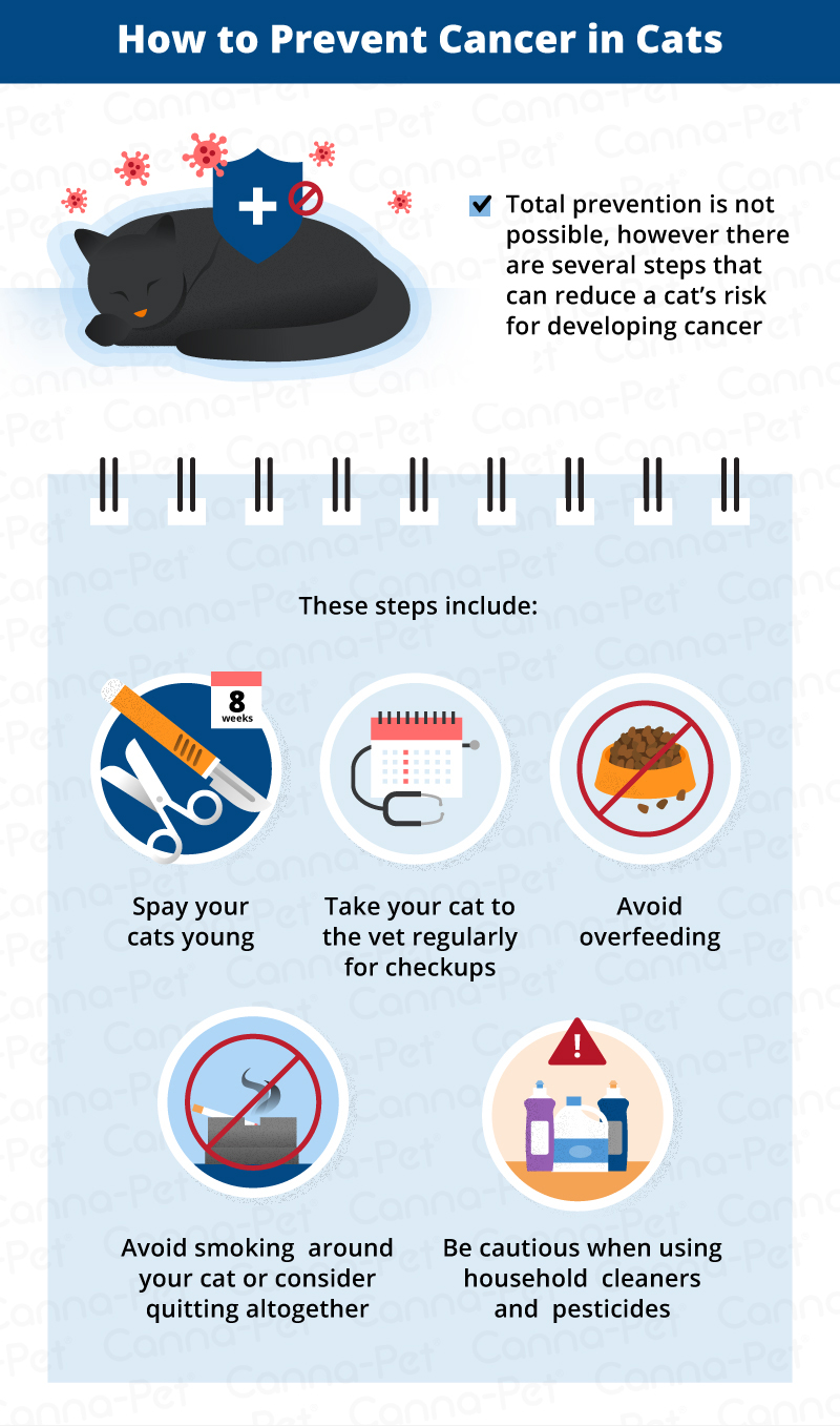 preventing cat cancer