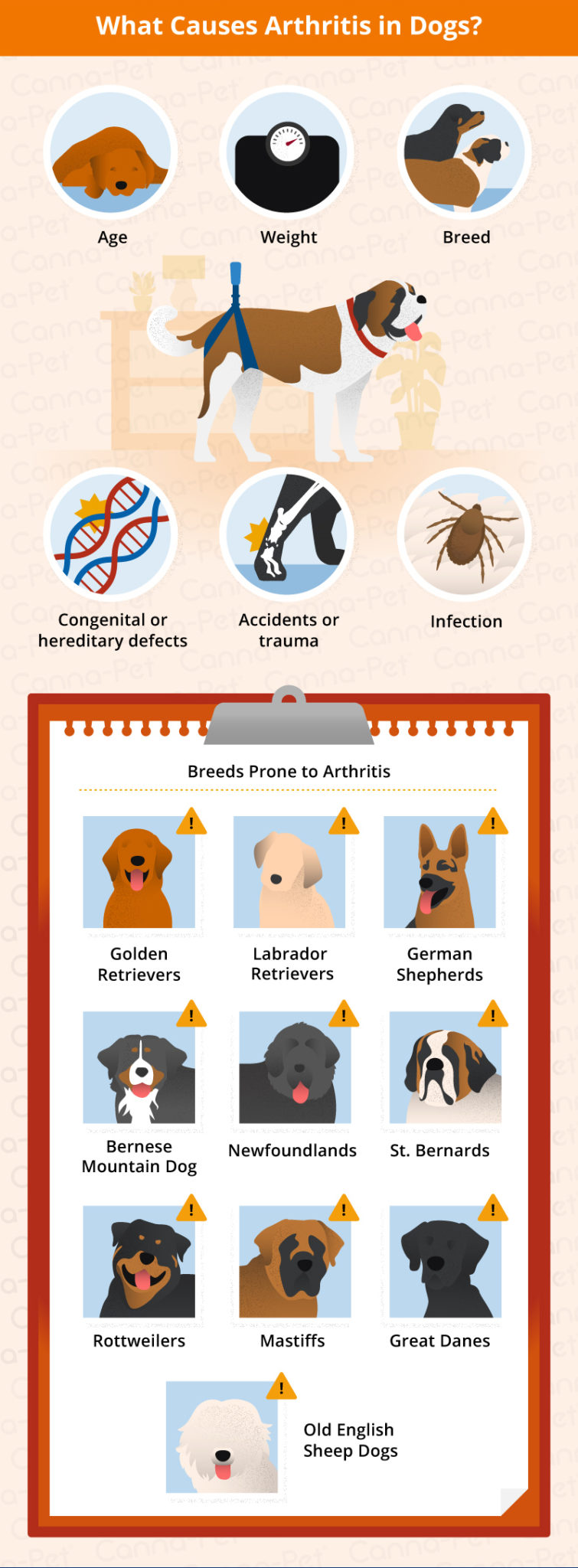 causes of dog arthritis