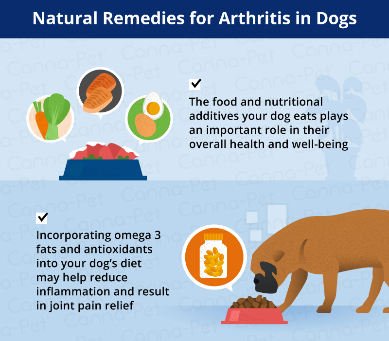 remedies for dog arthritis