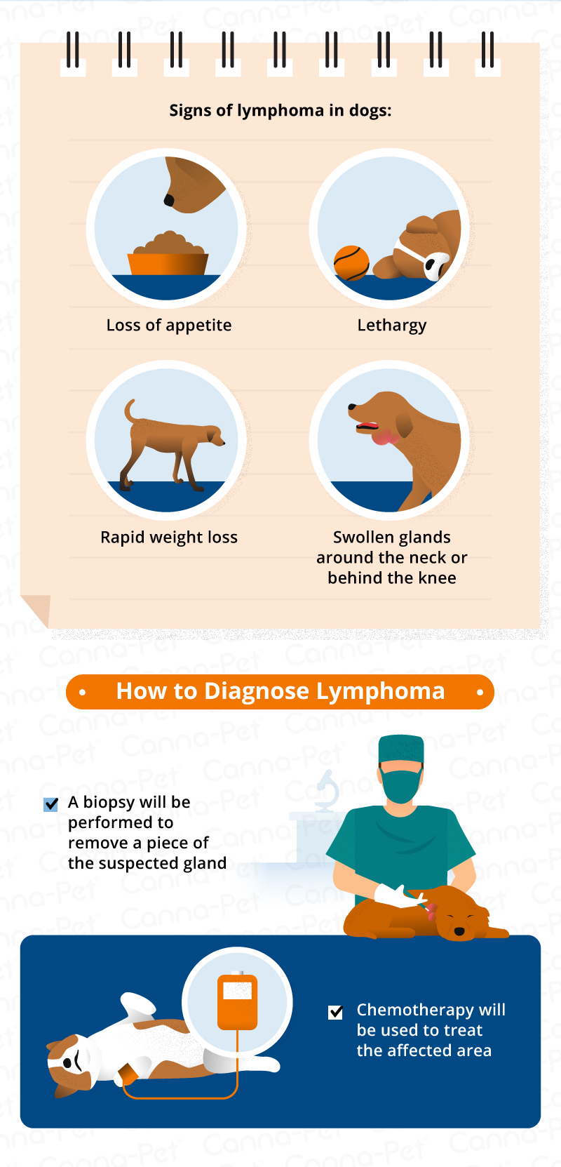 lymphoma in dogs