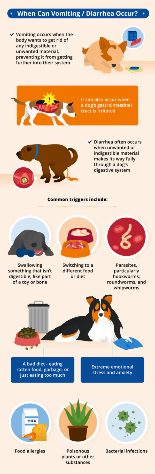 Vomiting and Diarrhea in Dogs | Canna-Pet