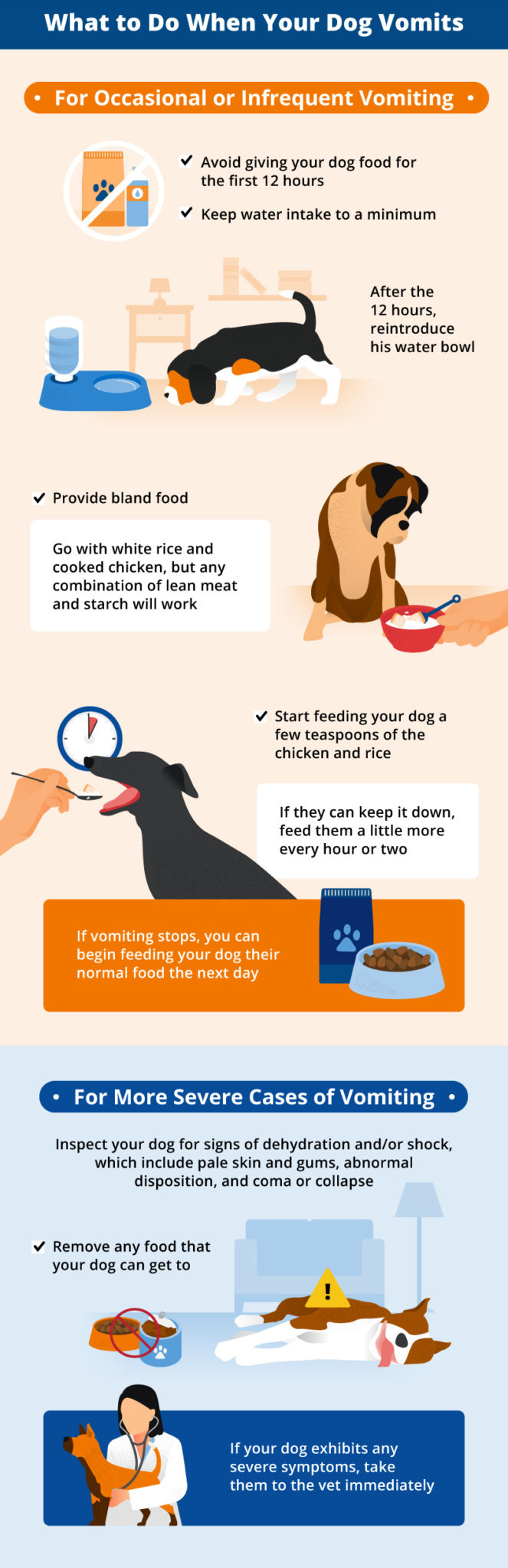 Dog remedies for 2025 diarrhea and vomiting