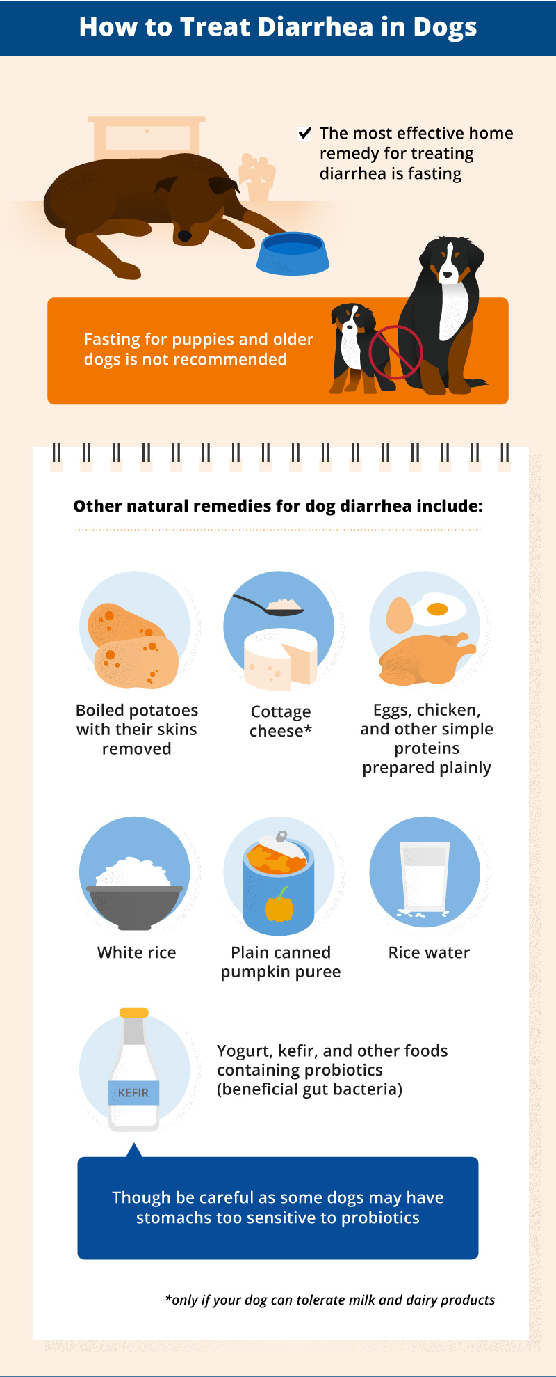 Dog diarrhea hotsell human medicine