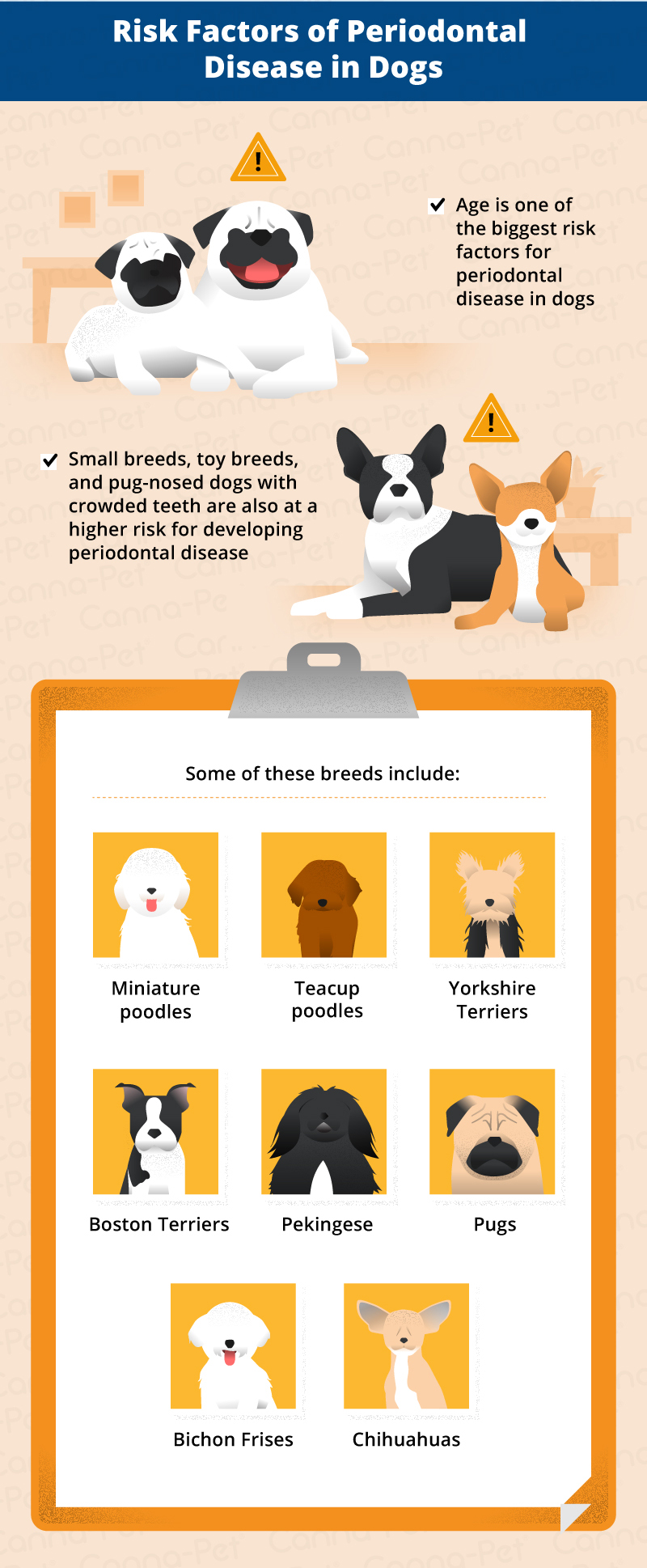 risks of periodontal disease in dogs