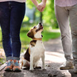 are-beagles-good-family-dogs_canna-pet