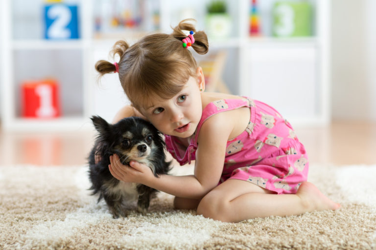 What to Do If Your Dog is Scared of Kids | Canna-Pet®