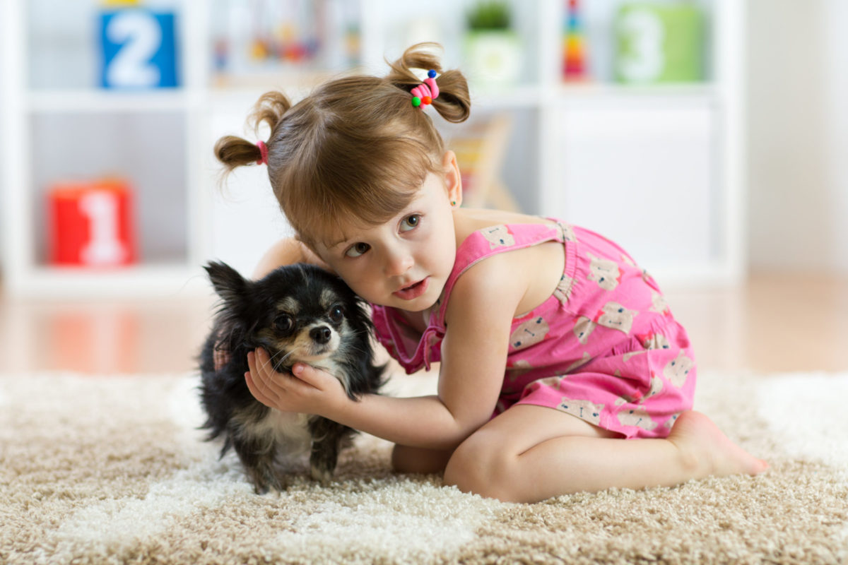 what to do if your dog is scared of kids_canna-pet