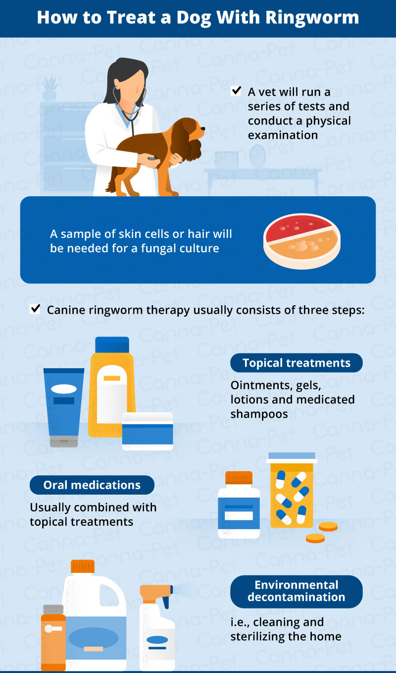 how can you tell if ringworm is healing in dogs