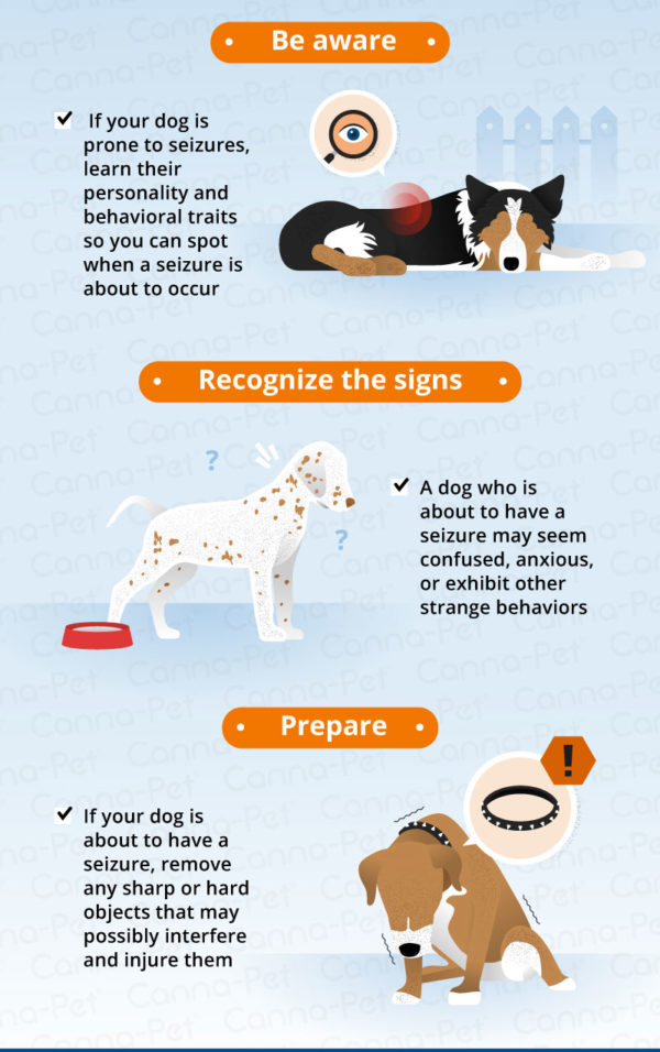 What to Do After Your Dog Has a Seizure | Canna-Pet