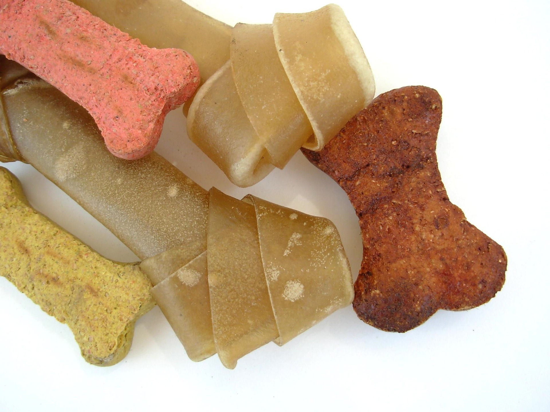 Is Rawhide Dangerous For Dogs? CannaPet®