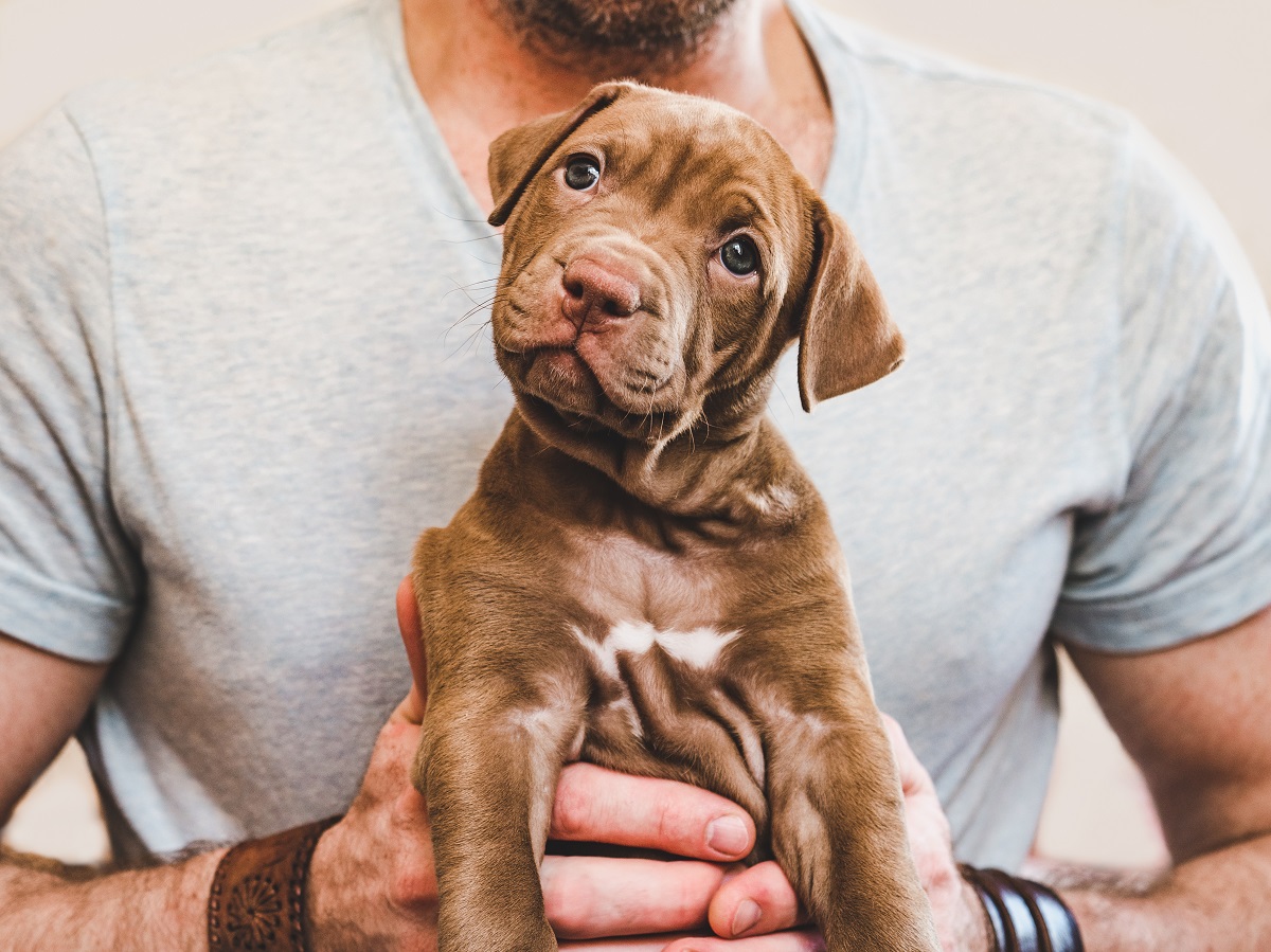 how-long-until-dog-is-full-grown