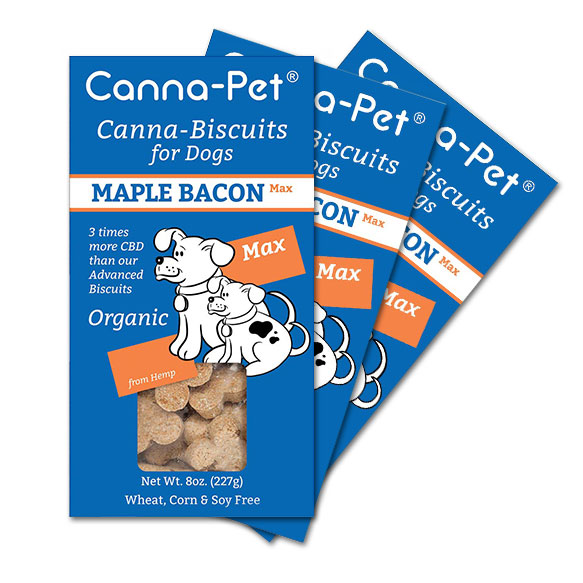 Maxcbd canna pet dog biscuits maple bacon 3 pack