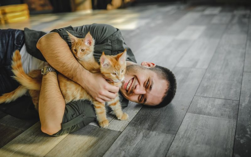 a young guy lies on the floor and hugs maine coon cats