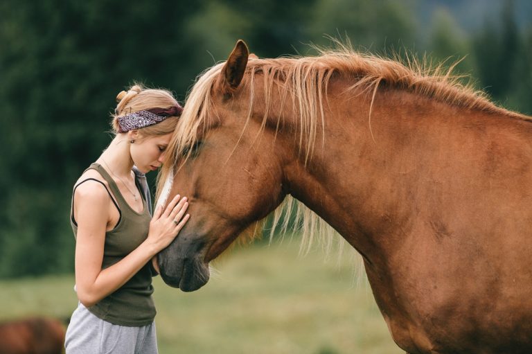 How to Treat Anxiety in Horses CannaPet