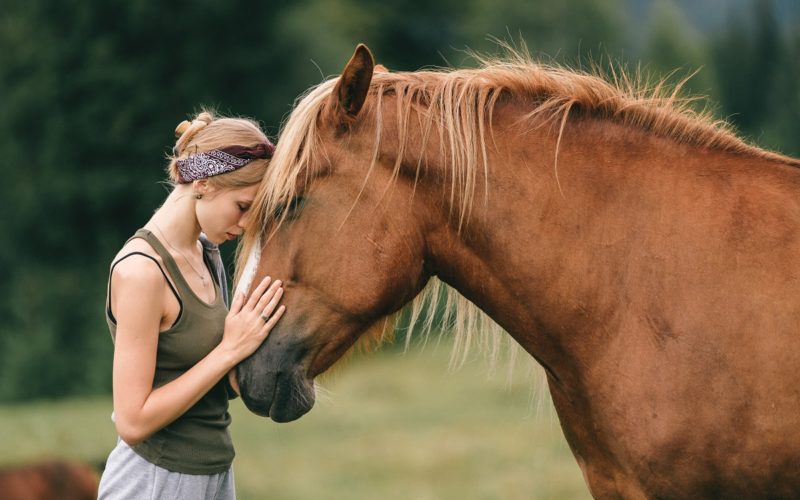 Young beautiful girl hugging horse at nature