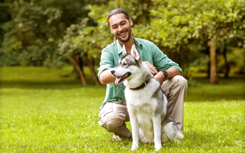 Man and Husky dog play and train in the park