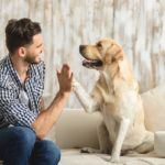 happy guy sitting on a sofa and looking at dog giving him high five