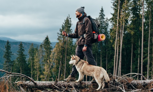 Man and his dog hiking