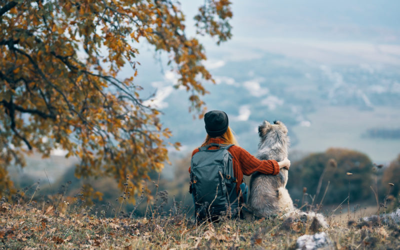Woman hiker with a backpack sits on the ground next to the dog and hugs her and admires nature