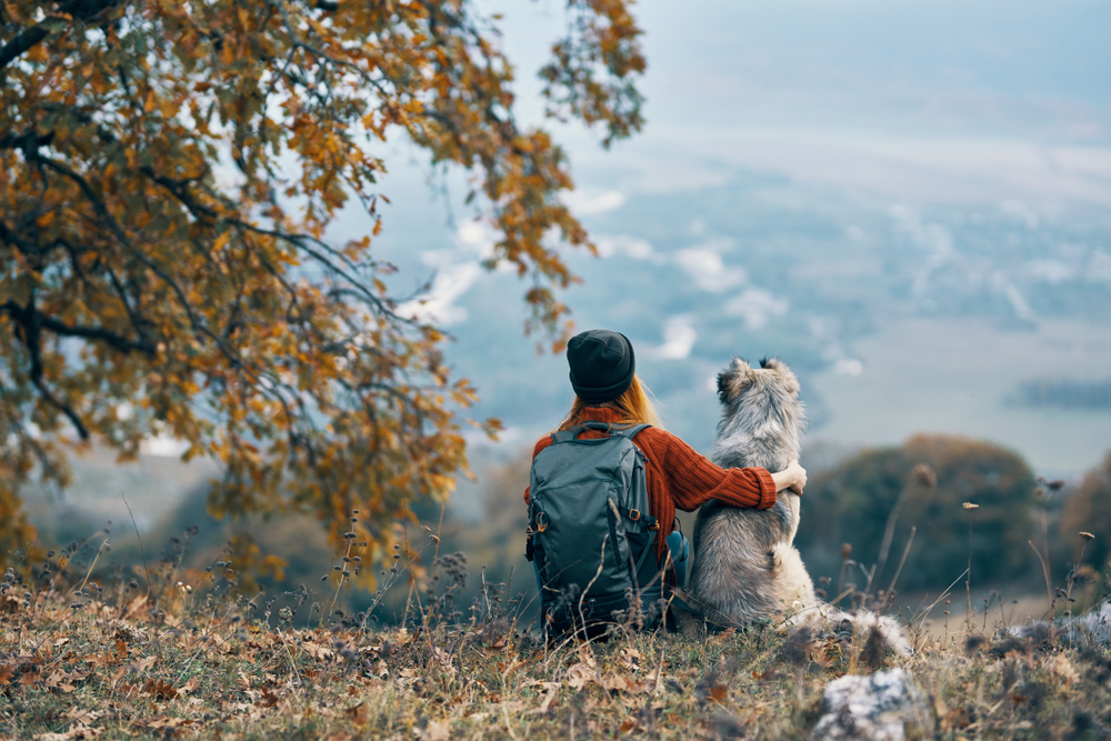 Woman hiker with a backpack sits on the ground next to the dog and hugs her and admires nature